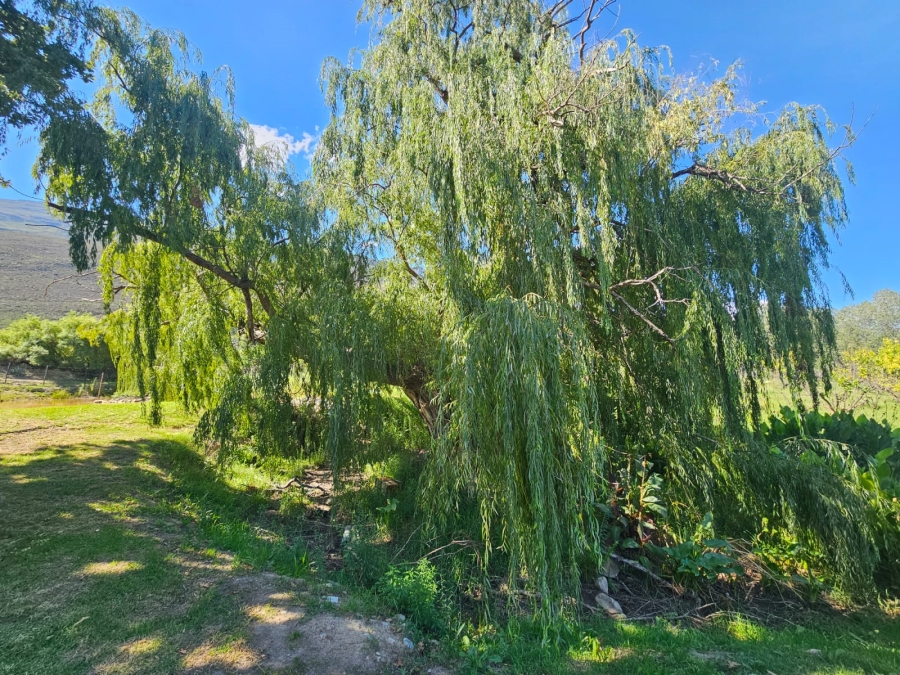 5 Bedroom Property for Sale in Ladismith Rural Western Cape